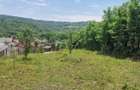 Teren intravilan de vanzare 3400 mp, la 2 km de Valenii de Munte, comuna Drajna de Jos - 3
