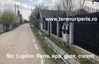 Teren 8700 mp Peris Strada Lupilor la 50m de case asfalt si utilitati