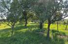 Teren intravilan de vanzare 3000 mp comuna Tamaseu Bihor - 7