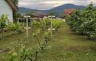 Casa terec curte gradina - 5
