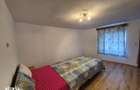 Casa Loc. Santana,25km de Arad, gradina 1000mp - 9