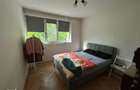 Vanzare apartament 2 camere Pajura - 11