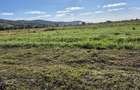 Teren intravilan - 650 mp - Tomesti Vale - 3