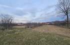 Teren de Vanzare in Curtea de Arges (2645 mp) Ideal Parcelare - 6