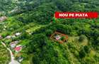 Proprietate de poveste în Corbi, Argeș - Doua case si 6300 mp teren intravilan - 1