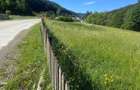 Teren intravilan 30 de ari dj 176 POTENTIAL Turistic/ Casa 1399/ar, usor negociabil - 4