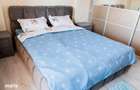 Apartament 3 camere Brotacei - 3