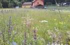 Teren 1000mp Cheia-Prahova-Valea Stanii-Telejenel - 2