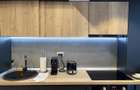 Apartament 2 camere Central - Splaiul Unirii, Renovat Complet - 8