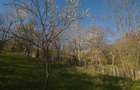Teren intravilan 2.800 mp in Comarnic panorama asupra Vaii Prahovei - 1