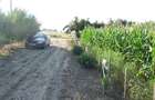 Domnesti-teghes strada Bucegi intersectie Oltenitei - 1