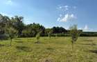 Teren intravilan, 695mp, 28m deschidere,drept, Valea Lupului - 2