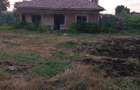 Casă cu Teren 1465 Mp în Dulceanca - 5