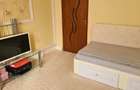 Apartament inchiriat Clinica Sf Andrei - 7