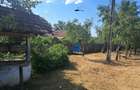 Vand casa si teren localiatea Stangaceaua, judetul Mehedint - 2