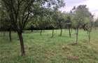 Vand teren intravilan (vatra), Valea Mare Pravat, Jud. Arges - 6