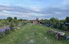 Teren la sosea loc focsani vn DN 23 - 4