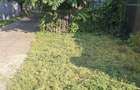 Teren intravilan 300 MP + Casa 65 mp | Balaca, Boldesti-Scaeni - 9