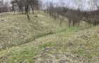 vand 2300m2 teren intravilant comuna secaria - 1