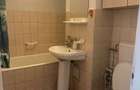 Apartament cu o camera de inchiriat Nufarul - 6