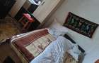 Gospodarie completa 1.1 Ha, Valea Poienii - Dolhasca, Curent Electric, Locuibila + Utilaje - 5