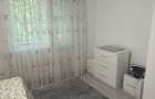 Apartament 2 camere Drumul Taberei complet renovat, 2 min metrou Constantin Brancusi, 10 min metrou Raul Doamnei - 2