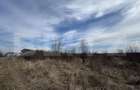 Teren extravilan de vanzare, 15.000 mp, zona Narcise II - 1