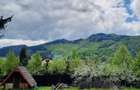 Teren intravilan 800 mp Darste Brasov - 7