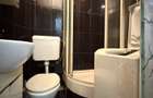 Apartament cu o camera, 17 mp utili, etaj 4, mobilat- Buziasului