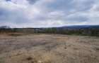 Teren 26500mp investitie dezvoltator imobiliar km 7 Calea Caransebesului 11 euro negociabil - 6