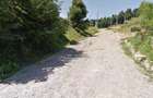 Teren Premium 5000 mp in Zona Turistica Piatra Neamt, Carlomanu - 2