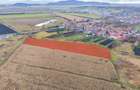 Teren extravilan Bod, 10.000 mp, acces DE 290, zona spre Harman - 6