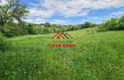 Teren intravilan in Campina--4355mp--28.500 euro - 5