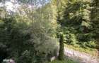 Apartament 2 camere lift si garaj - 6