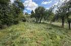 Teren intravilan - Sat. Rod - Tilisca - 2