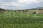 Teren intravilan, in localitatea Bobota in suprafata de 12.500 mp - 5