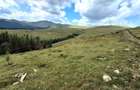 Teren intravilan Roman 2 loturi, 2.000 mp la 1.750 m, langa Refugiul Vf. Ursu - 2