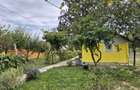 Casa (70m2) si teren Bordea (1000m2) de vanzare