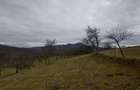 Teren intravilan si extravilan Luncoiu de Jos - 19