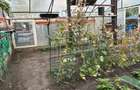 vand casa in Mehala 365000 euro - 5