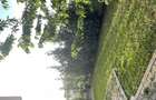 Apartament cochet cu gradina - 6