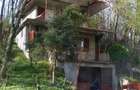 Casa de vacanta cu teren cu vita de vie - 5