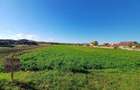 Teren intravilan Bacia, 18 Eur m