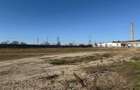 Teren Industrial Calea Borsului- 10.000 mp - 33.300 mp sau 6 - Oradea (Bihor)