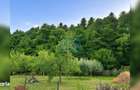 Casa P+M cu teren de 1.000 mp, situata la marginea padurii - 7