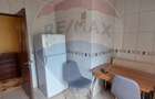 Apartament cu 2 camere de inchiriat - 1