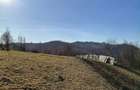 Teren de 10000 mp, în Munteni - 3