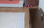 Apartament 2 camere de vanzare - 5