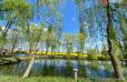 Vila Duplex cu lac si piscina Giarmata Vii cu 5880 mp de te - Giarmata Vii (Timis)
