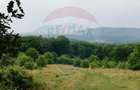 Teren ideal pentru glamping in Vladeni, aproape de Bra?ov - 11
